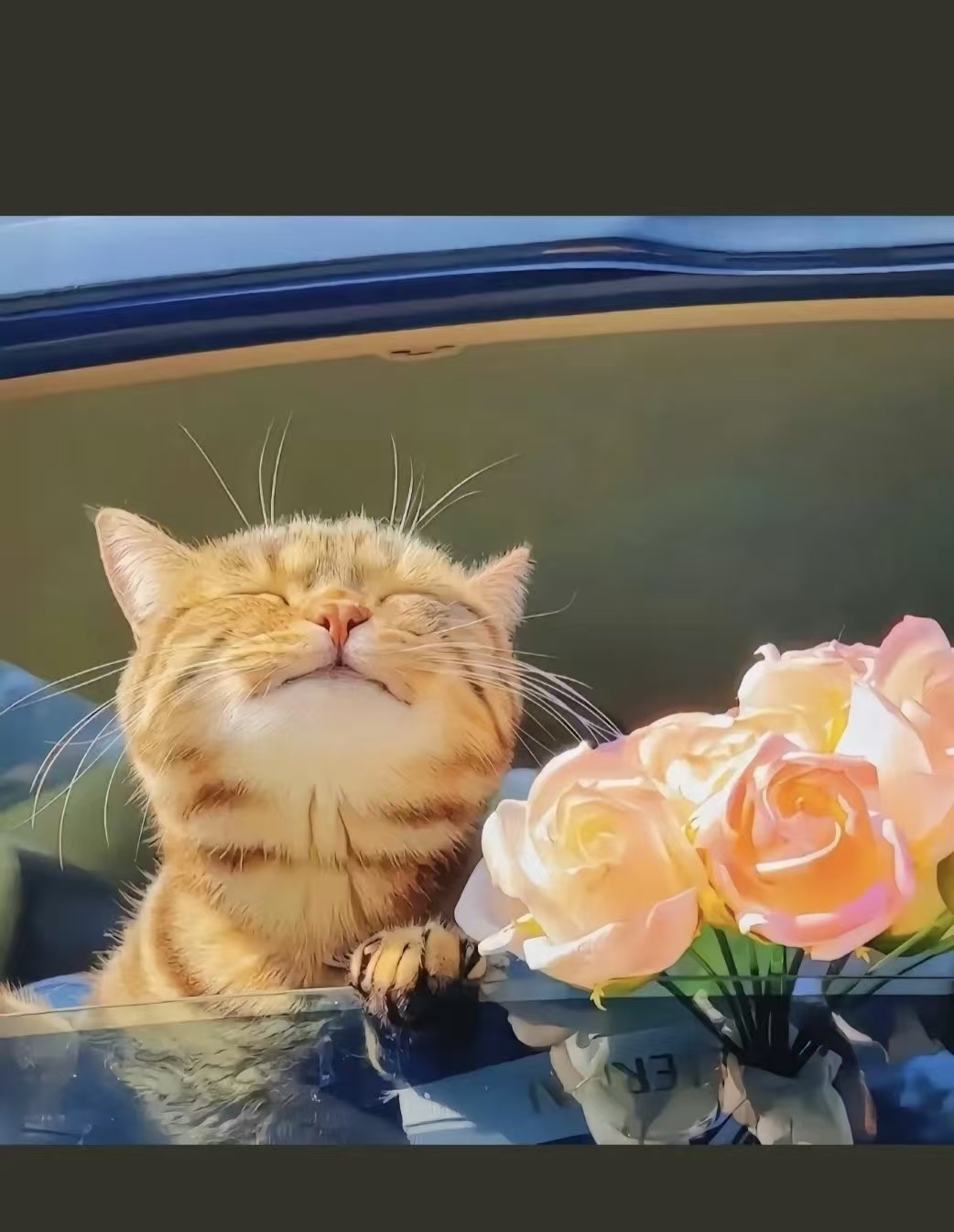 >阳光下的沐浴 头像